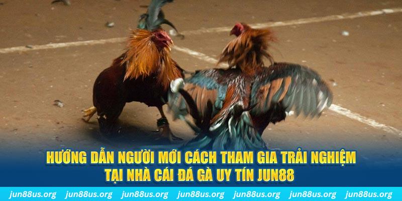 xx 88 loi game dot kich ket noi may chu that bai