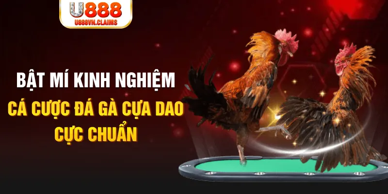 xx 88 xổ số miền nam xổ số miền nam