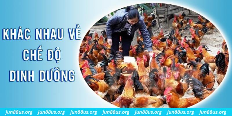 xx 88 xổ số miền nam thứ năm hàng tuần