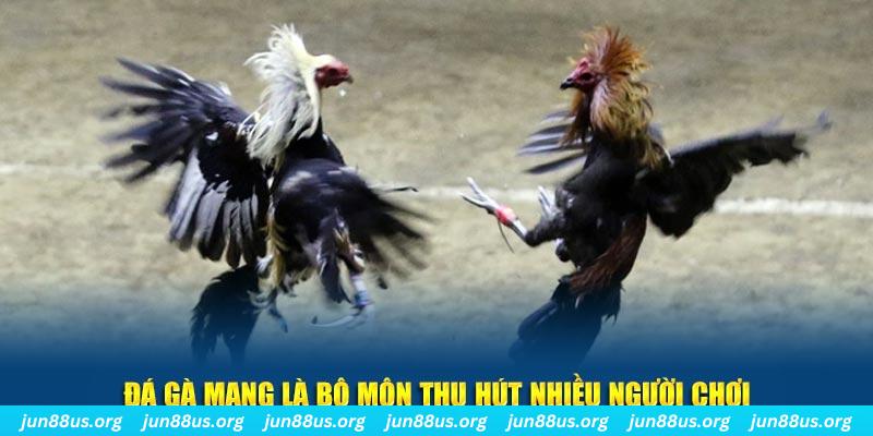 xx 88 đăng nhập lô đề hàng đầu
