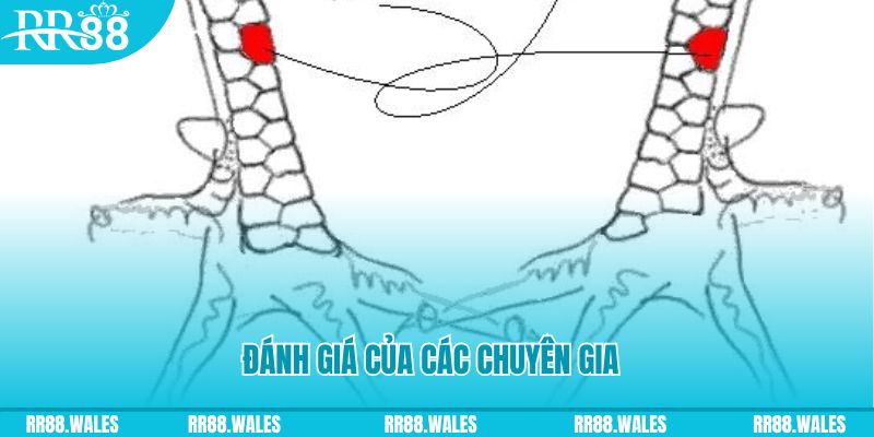 xx 88 V8 Game Bài 3d