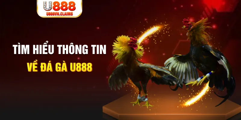 xx 88 đăng nhập tiến lên miền nam hàng đầu