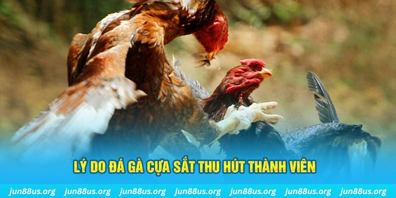 xx 88 chiếm slot là gì