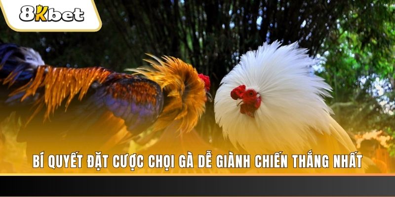 xx 88 xổ số thứ hai hàng tuần