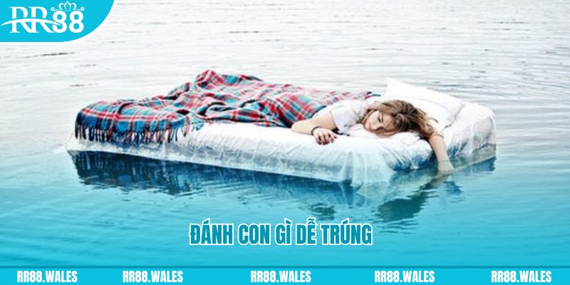 xx 88 đăng nhập liêng hàng đầu