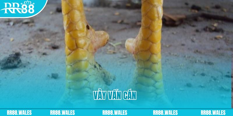 xx 88 đăng nhập nổ hũ hôm nay