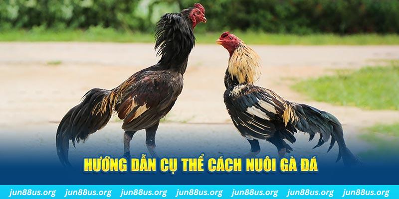 xx 88 đăng nhập sòng bạc số 1