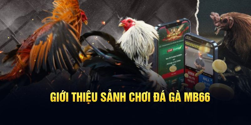 xx 88 đăng nhập poker hôm nay