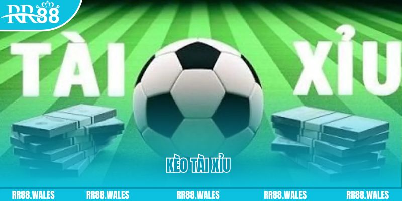 xx 88 Giành Chủ Bull Bull